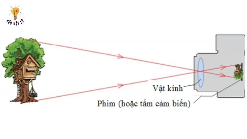 Cách vẽ hình ảnh của một vật trên phim
