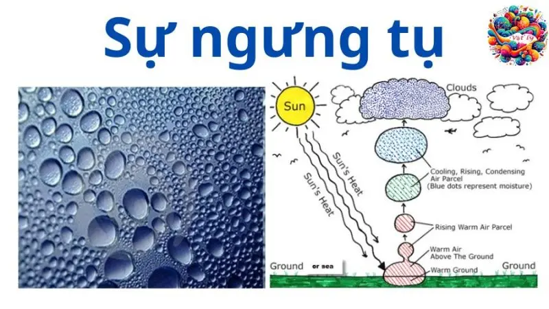 tim-hieu-ve-su-ngung-tu