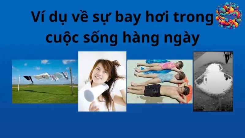vi-du-ve-su-bay-hoi vi-du-ve-su-bay-hoi