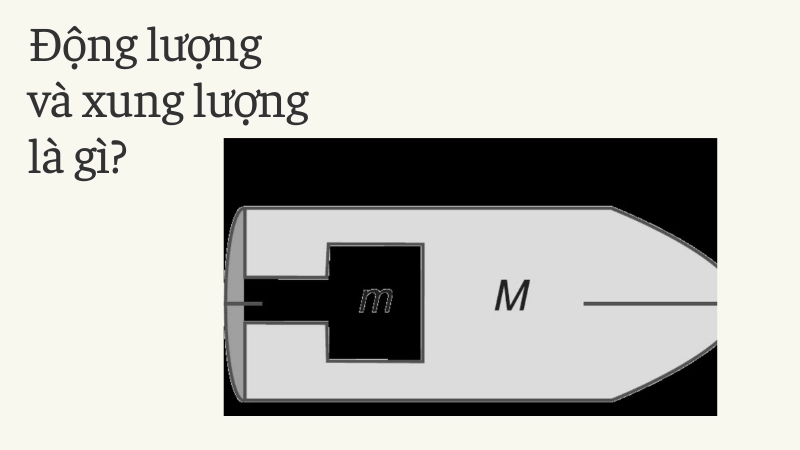 Mô phỏng vector động lượng p cùng hướng với vận tốc v