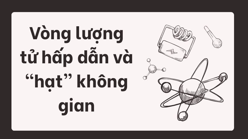 Vòng lượng tử hấp dẫn và “hạt” không gian