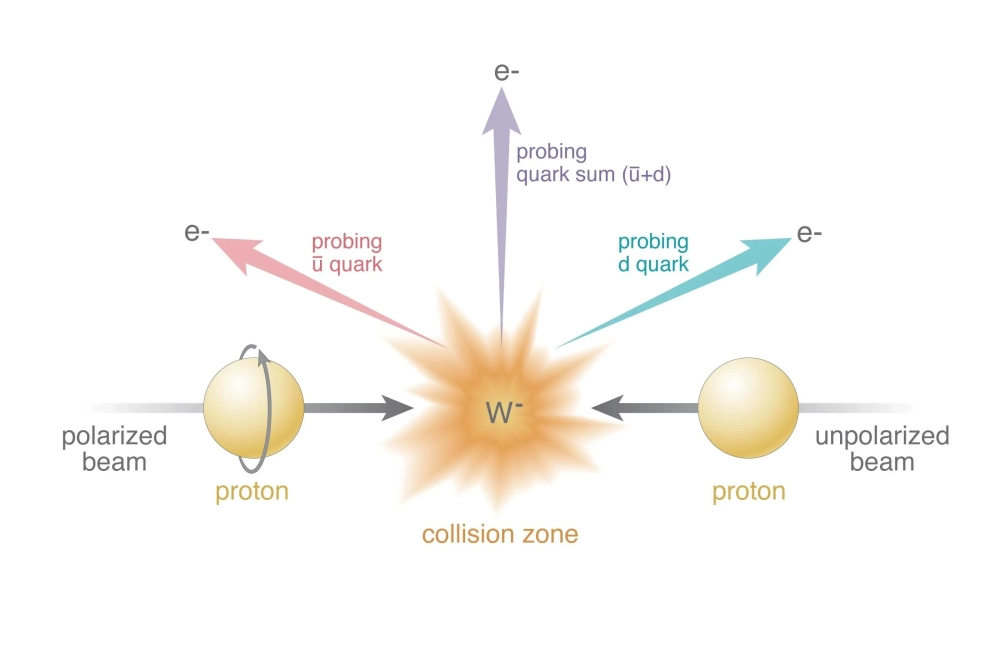 Hạt up hạt quark trong proton với điện tích dương hai phần ba
