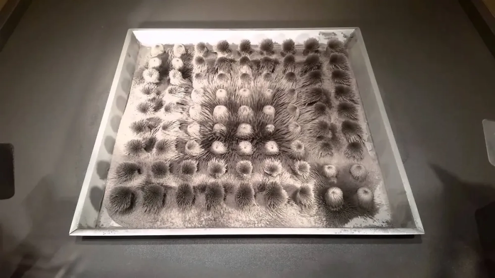 Các đường cong từ phổ sắt quanh nam châm uốn lượn giữa hai cực