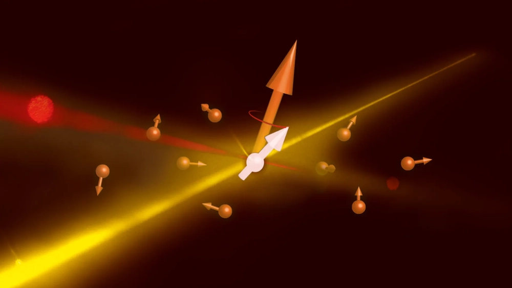 Trạng thái up và down của spin electron trên trục tọa độ