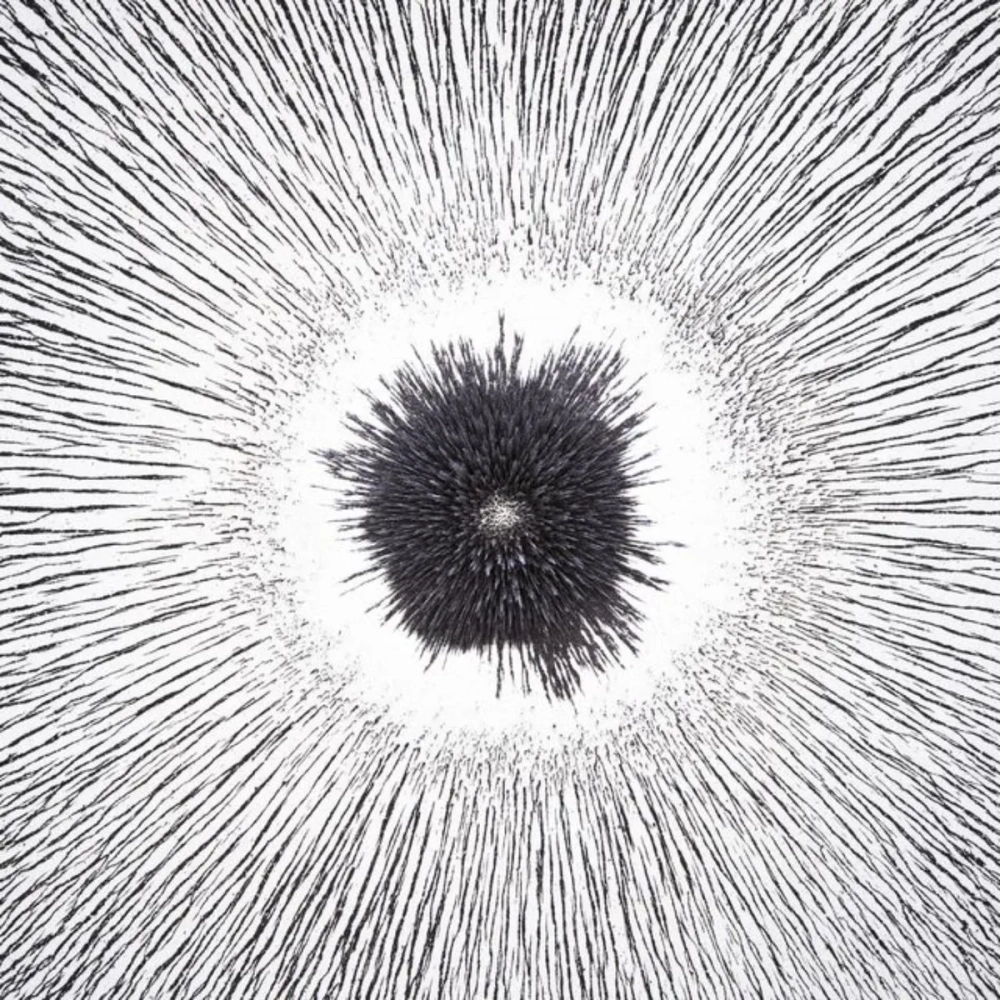 Độ mạnh yếu của từ phổ sắt quanh nam châm qua độ dày mạt sắt