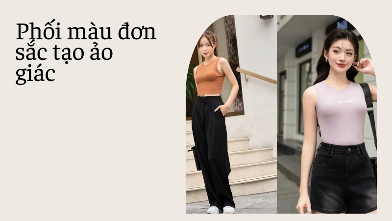 Quy tắc phối màu đơn sắc đánh lừa thị giác